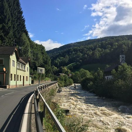 Large Family Holiday Home Siren Stays Leoben  エクステリア 写真